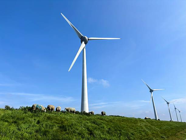 Windmills in Niederlands
