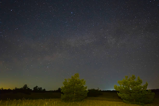 istock night starry sky above the forest silhouette 2211885127