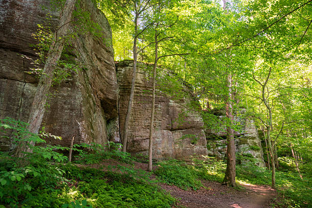 istock Lake Vesuvius Trail at Wayne National Forest in Ohio 2211887247