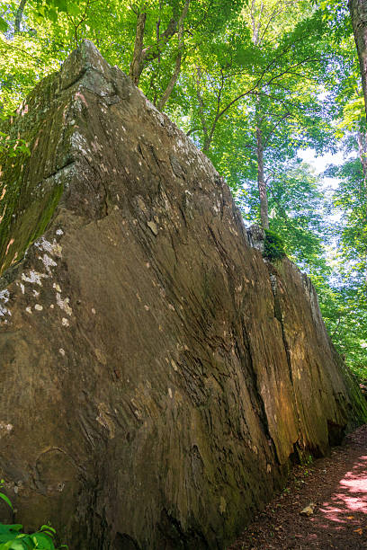 istock Lake Vesuvius Trail at Wayne National Forest in Ohio 2211887312
