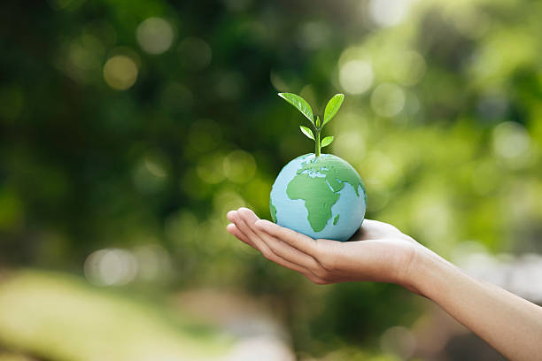 istock World Environment Day, hand holding earth globe and tree. Sustainable Environmental conservation. Environment care concept. Green Business Save Earth and Eco Friendly. ESG and CSR concept to net zero 2211887383