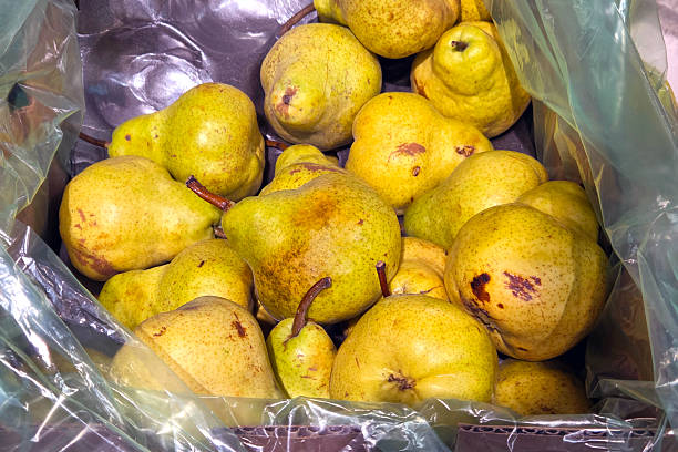 istock Fresh Organic Pears in Eco-Friendly Packaging for Sustainable Markets 2211889323