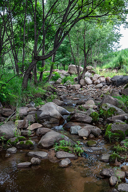 istock Stream flows through forest in mountainous area of ​​western China 2211890402