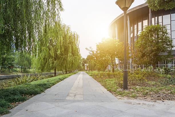 istock Tranquil Pathway Illuminated by Golden Sunset in Urban Oasis 2211893143