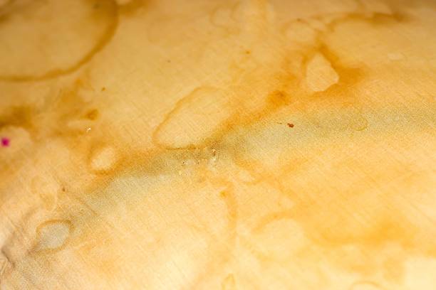 istock Bacteria on the pillow on white background 2211893738