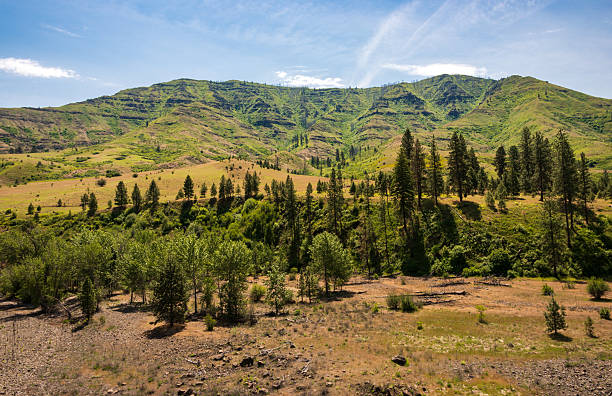 Hells Canyon National Recreation Area in Oregon and Idaho, USA