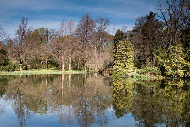 A calm lake reflects a variety of trees and a clear blue sky, creating a peaceful and picturesque spring scene. The mix of bare branches and lush green foliage adds depth and contrast to the composition. Gentle sunlight highlights the natural beauty of the landscape.