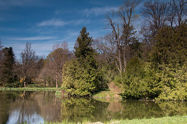 A calm lake reflects a variety of trees and a clear blue sky, creating a peaceful and picturesque spring scene. The mix of bare branches and lush green foliage adds depth and contrast to the composition. Gentle sunlight highlights the natural beauty of the landscape.