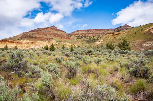 Sheep Rock Unit of John Day Fossil Beds National Monument