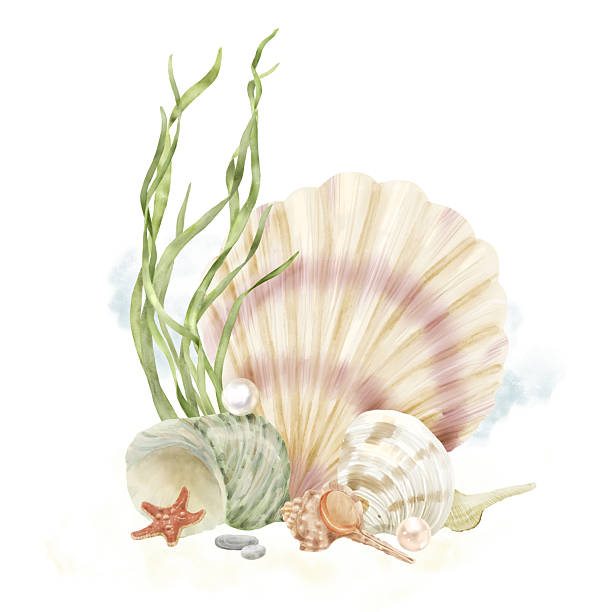 istock Oceanic shells from the ocean floor and a starfish next to green algae leaves. Watercolor illustration. The spiral shell of the turbo clam and the scallop are isolated on a white background. 2211897841