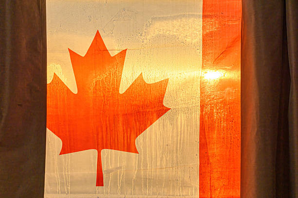 The national flag of Monaco    is painted on uneven wooden  boards. Country symbol.