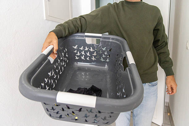 Plastic laundry baskets in the store