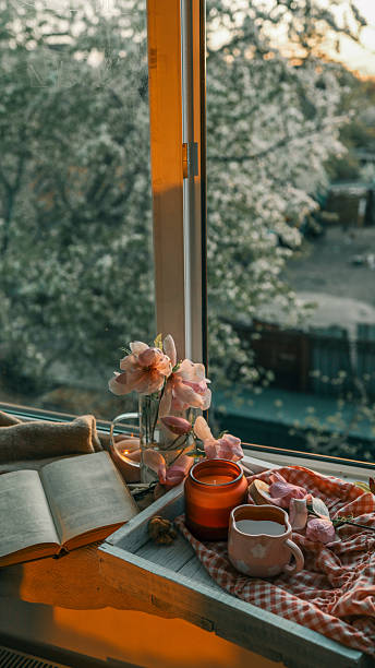 istock Cozy spring evening by the window with a book, candle, flowers, and tea. Warm sunset light enhances the tranquil, relaxing atmosphere of the scene 2211901095