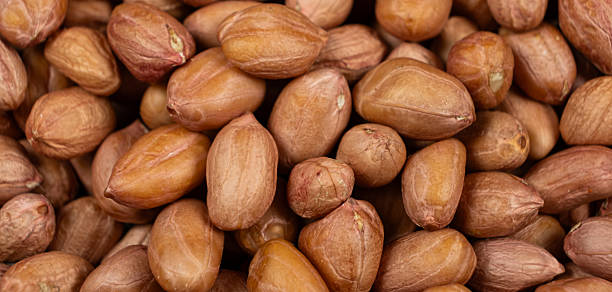 istock Unpeeled raw peanuts close-up long banner 2211901127