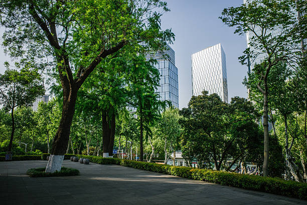 istock Highway in the city background 2211901475