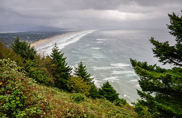 istock Oswald West State Park, State park in Arch Cape, Oregon 2211901861