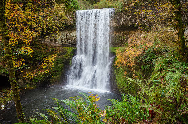 istock Lower South Falls at Silver Falls State Park, the largest state park in Oregon 2211902040