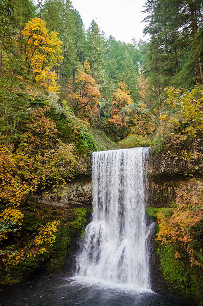 istock Lower South Falls at Silver Falls State Park, the largest state park in Oregon 2211902097