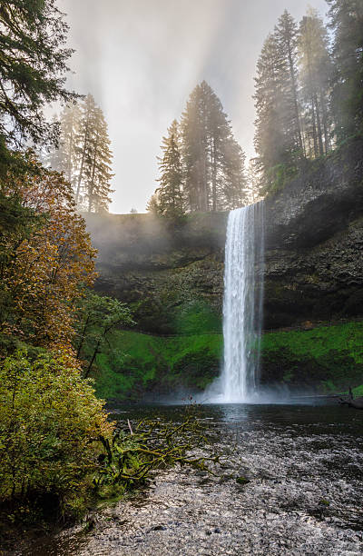 istock South Falls at Silver Falls State Park, the largest state park in Oregon 2211902167