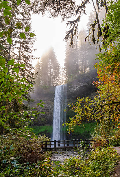istock South Falls at Silver Falls State Park, the largest state park in Oregon 2211902182