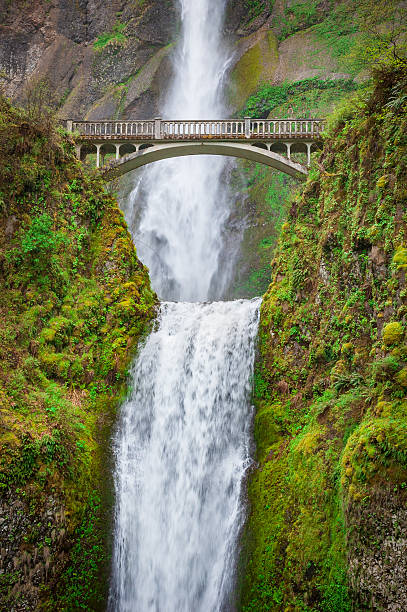 istock Multnomah Falls at Columbia River Gorge National Scenic Area 2211902421