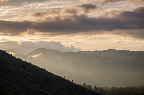 istock Sunset at The Mount Hood National Forest 2211902949