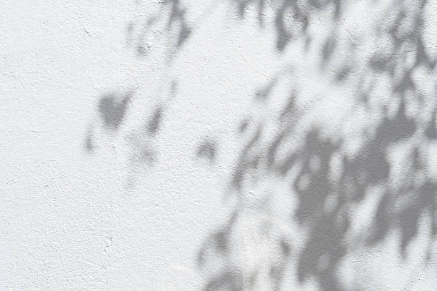 istock Studio background,Leaves shadow with sunbeam reflection on grey concrete wall texture background,Empty White Studio Room with abstract light on Cement floor,Backdrop display for product presentation 2211906129