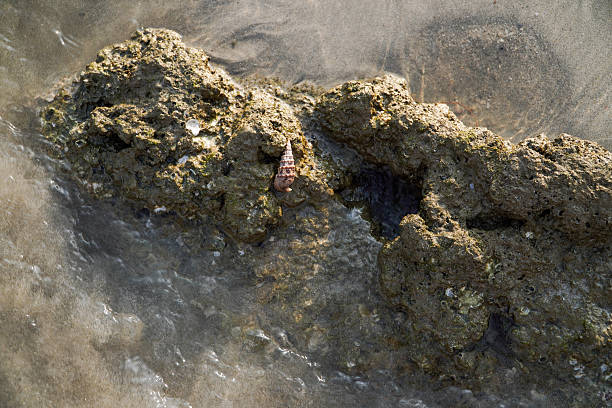 Tropical sandy beach showing changing patterns and textures with each tide and weather change Asia