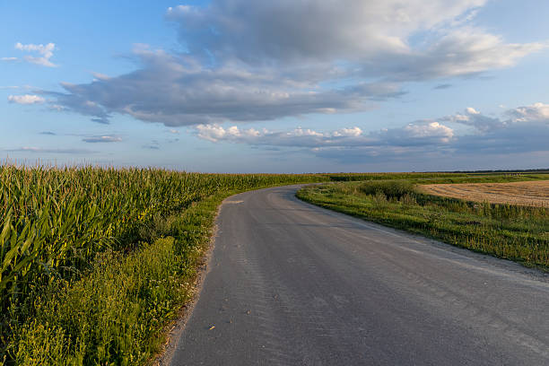 istock a narrow curve paved road in the summer at sunset 2211915534
