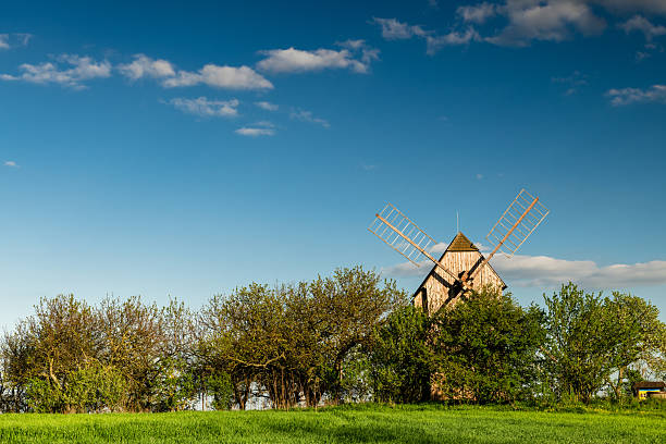 historic windmill in stary poddvorov surrounded by spring blossoms