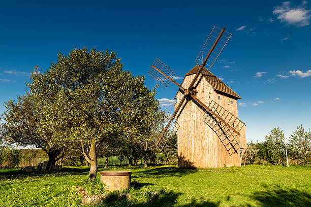 historic windmill in stary poddvorov surrounded by spring blossoms
