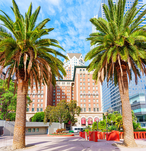 Beverly Hills City Hall with palm trees and other exotic plants in the foreground.
