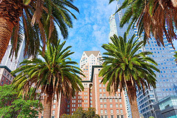 Los Angeles, California - December 3, 2024: Wide-angle view of Pershing Square in Los Angeles, showcasing palm trees and skyscrapers under a clear blue sky.
