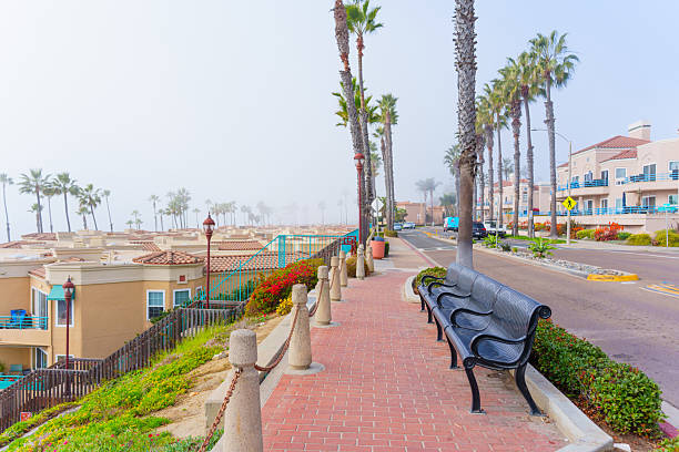 Oceanside, California - January 3, 2025: Serene walkway lined with palm trees and benches, overlooking coastal homes in Oceanside, California, captured in soft morning light and fog.
