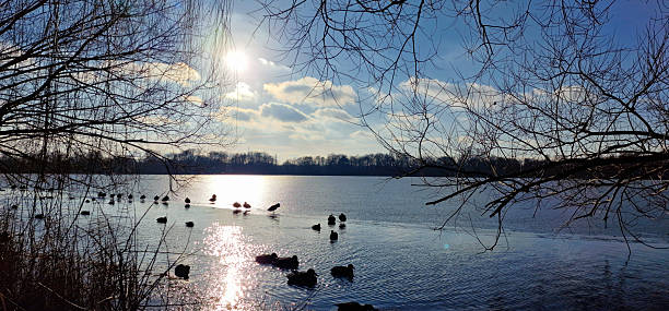 A serene and tranquil lakeside scene where sunlight beautifully reflects on the still water, surrounded by lush nature