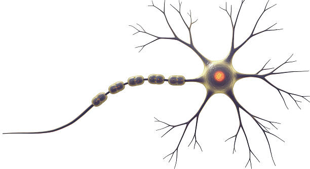neural cell with computer chip illuminated with low light and neural network scheme