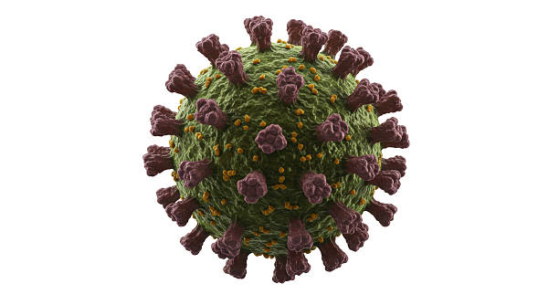 istock Isolated Detailed 3D Rendering of Coronavirus Molecule 2211931423