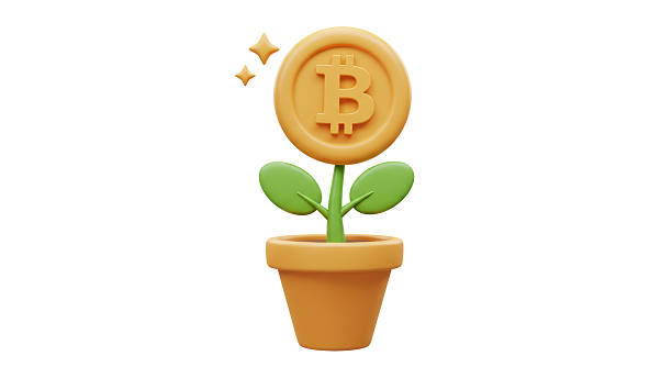 Isolated Bitcoin Plant in Flower Pot Growth Concept
