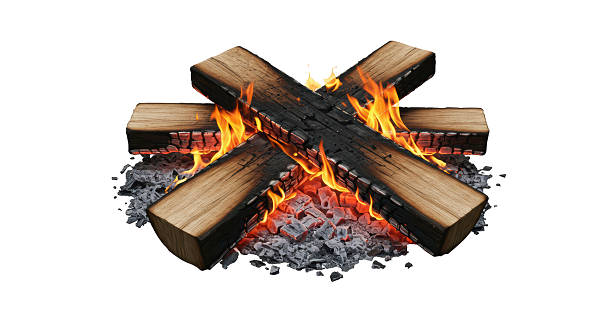 Isolated Burning Campfire with Charred Wood