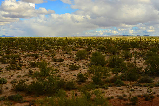 istock Clouds Over Central Sonora Desert Arizona 2211941969