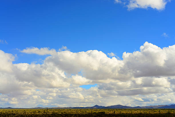 istock Clouds Over Central Sonora Desert Arizona 2211942079