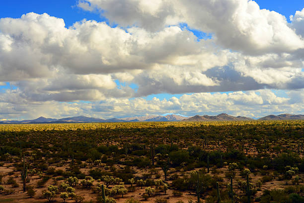 istock Clouds Over Central Sonora Desert Arizona 2211942166
