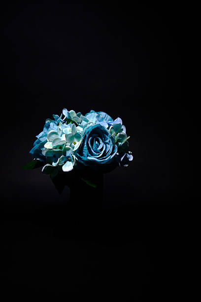 Using one grid spotlight, I shot an artificial flower floating in the darkness against a black background paper, creating a shadow-like effect. Recorded on March 27, 2021, Kodaira City, Tokyo, Japan.