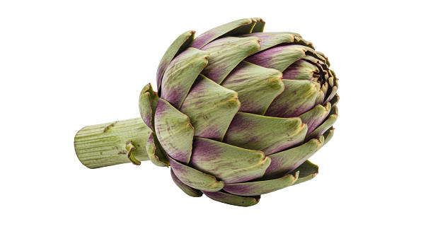 Close-up and detailed shots of fresh artichokes from various angles.