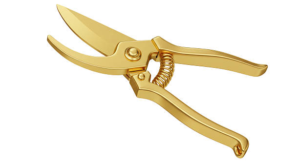 istock Isolated Golden Garden Pruning Shears with Spring Mechanism 2211953098