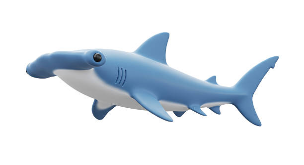 istock Isolated Hammerhead Shark Cartoon Character 2211957098