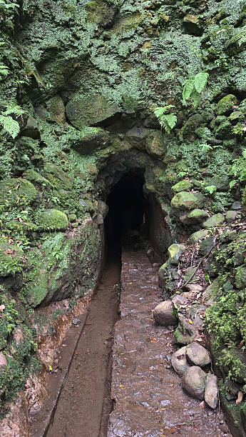 istock Tunnel on Levada do Caldeirao Verde, Madeira 2211958551