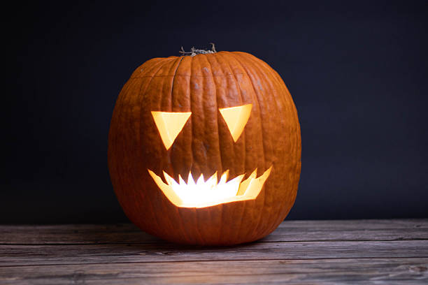 one halloween pumpkin neutral background. High quality photo