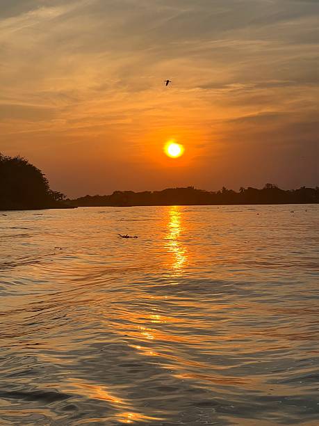 istock Sunset over the Magdalena River 2211965517