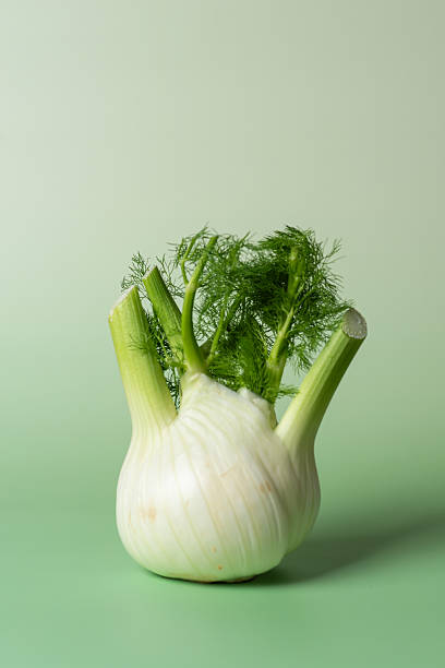 A whole fennel bulb with vibrant green sprigs, displayed on a light green backdrop, highlighting the fresh and organic qualities of the vegetable in a minimalist style.